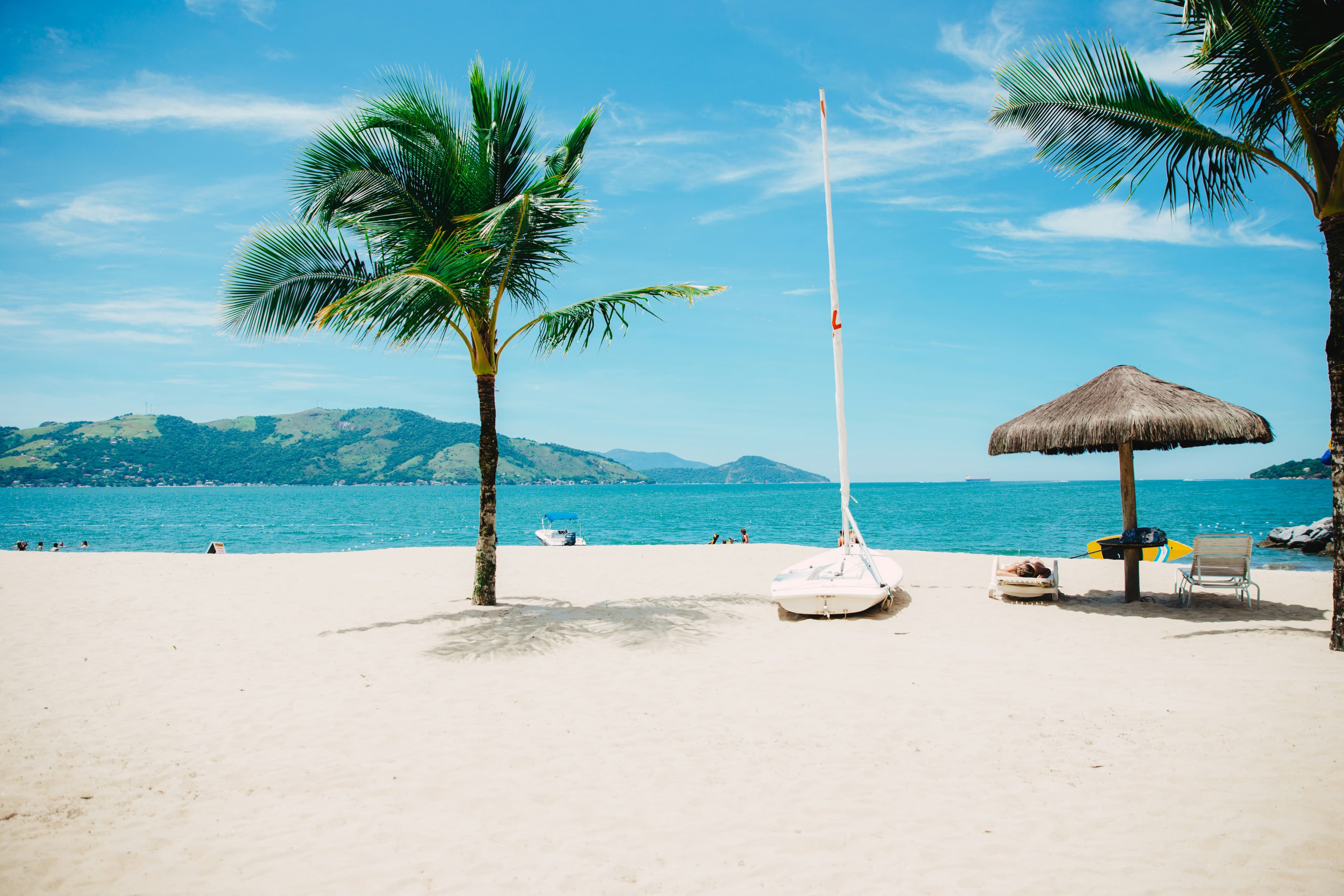 A palm tree leaning over a white-sand beach