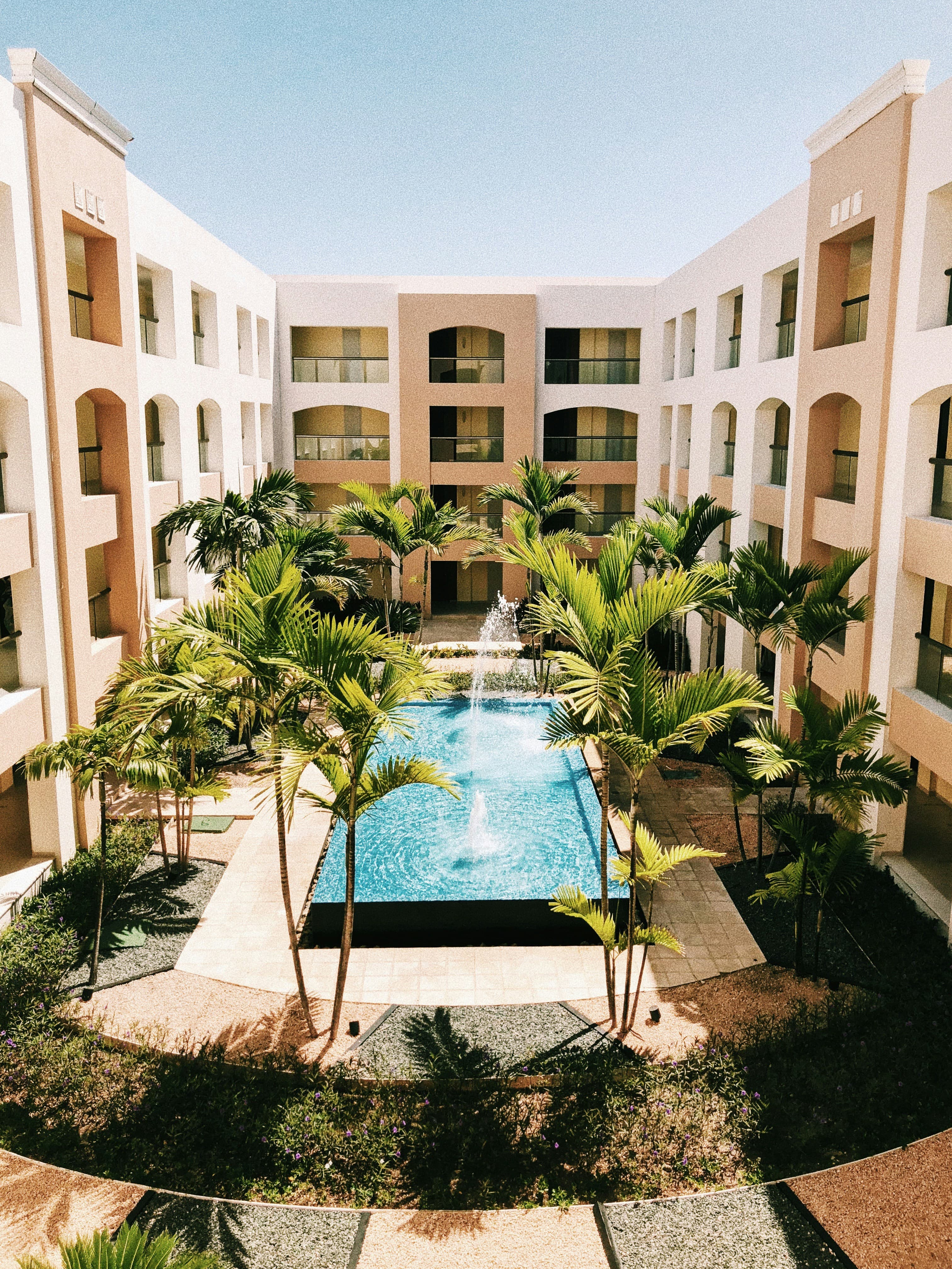 A pool in a palm-filled hotel courtyard