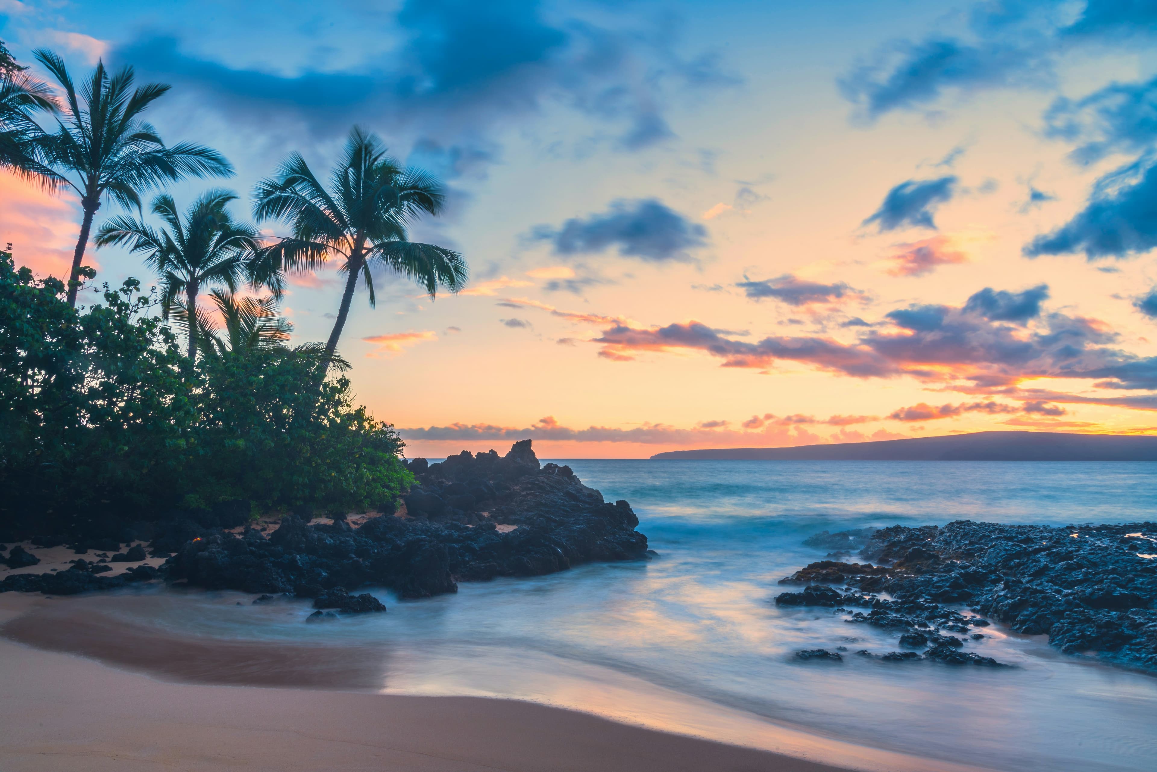 Palms and a rocky shore at sunset in Hawaii