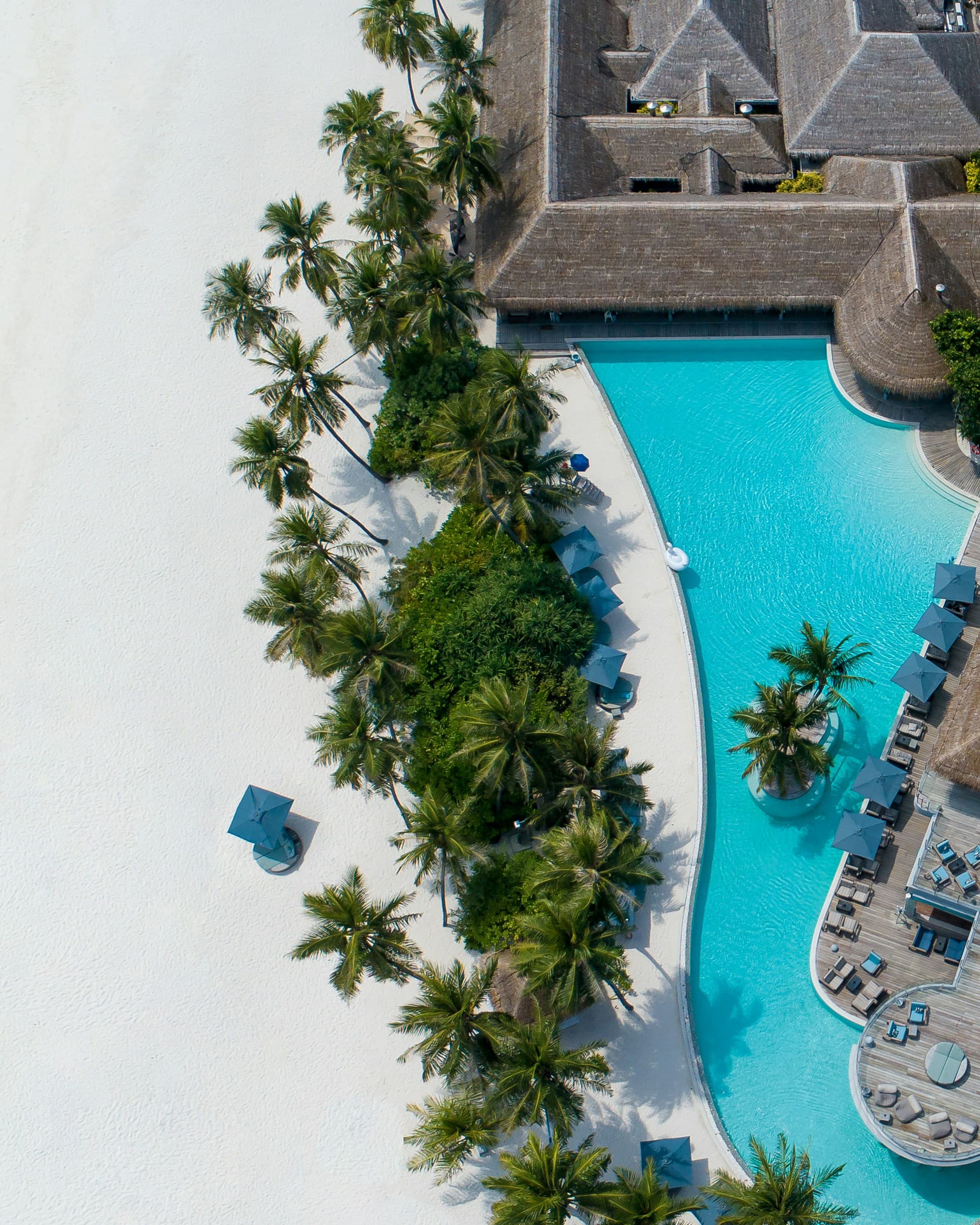 A winding pool among palms from above