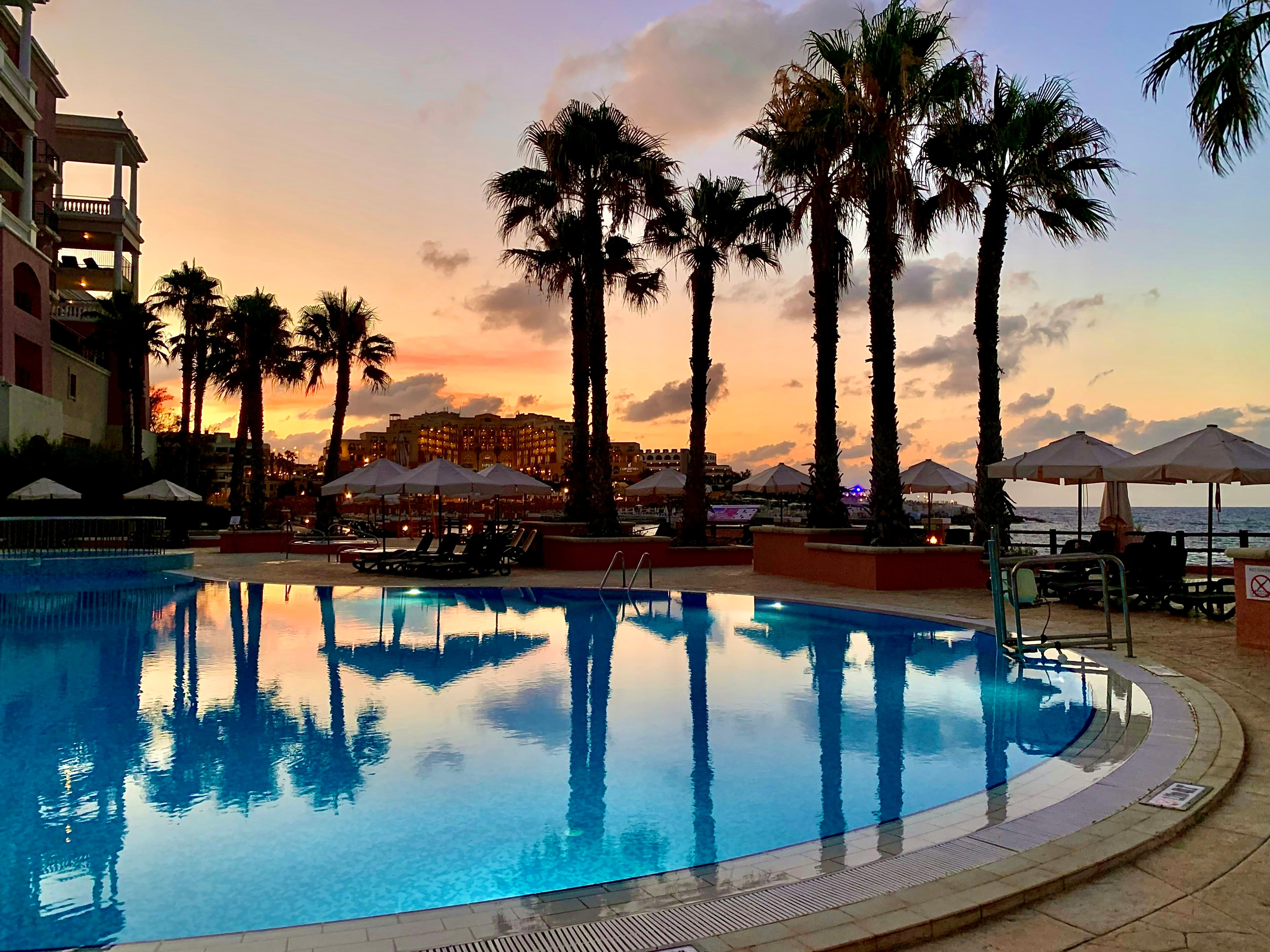 Palm trees reflected in a pool at sunset